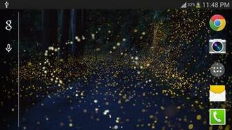 Description Forest Firefly Wallpaper Pro