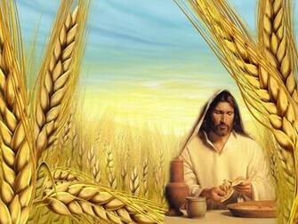 Catholic Eucharist Wallpaper Eucharistie