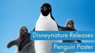 Disneynature Releases Poster For Upcoming Penguins Feature On