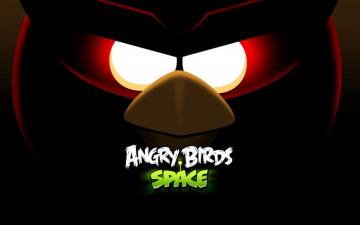 Angry Birds Space HD Wallpaper