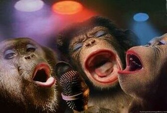 Funny Monkey Pictures For Kids High Definition Widescreen