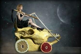Absurd Photos Wallpaper High Quality