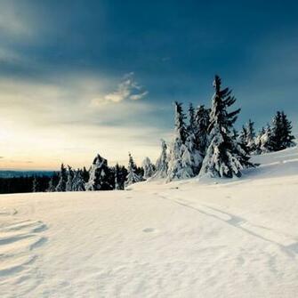 iPad Wallpaper Winter Part I