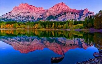 Lake Tree Reflection River Rock HD 4k UltraHD Wallpaper