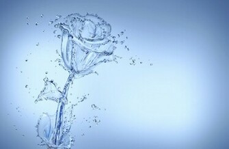 Cool Flower Background HD Wallpaper