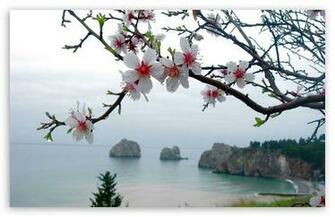 Spring Season HD Wallpaper For Standard Fullscreen Uxga Xga