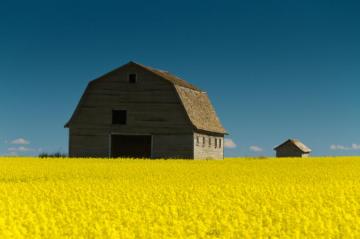 Wallpaper Landscape Food Field Farm Canada Summer Barn