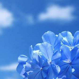 The Best Nature iPad HD Background Retina Wallpaper