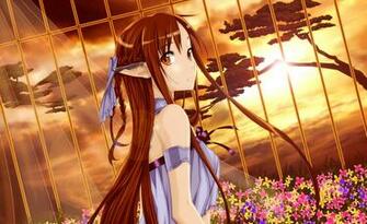 Yuuki Asuna HD Wallpaper Wallpaperask