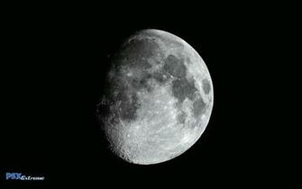 Moon Wallpaper