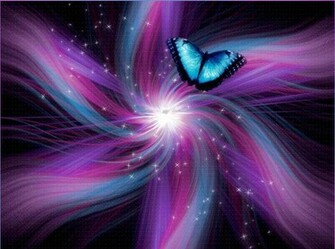 Indigo Butterfly Butterflies Photo