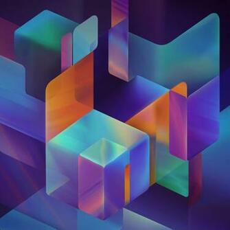Android L Wallpaper Lollipop Shy