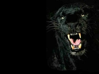 Amazing Black Panther Wallpaper For Your Pc HD Tapandaola111