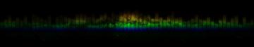Music In Space R Wallpaper Art