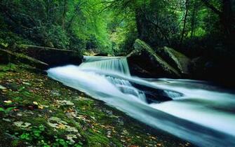 Forest Waterfall Wallpaper