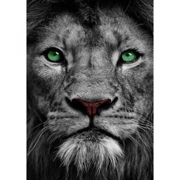 Diamond Painting Full Round Green Eye Lion Everydayedeals
