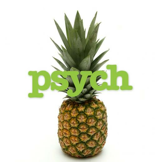 Psych Album Cover By Nonamepaper