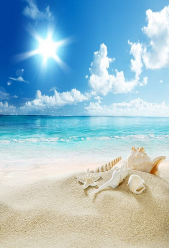 Amazon Laeacco Sea Beach Sunshine Photography