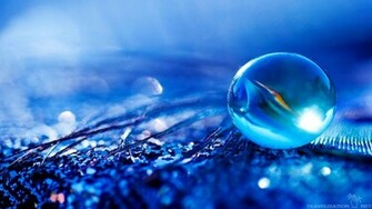 High Resolution Photos Of Nature HD Background Wallpaper Thumb