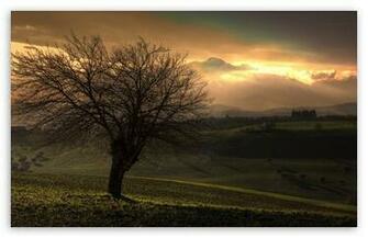 Early Spring HD Wallpaper For Standard Fullscreen Uxga Xga