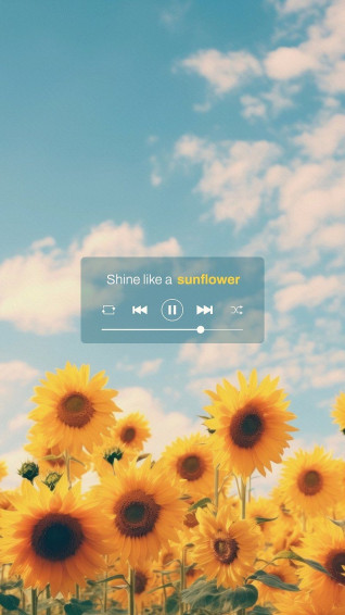 Sunflower Aesthetic Wallpaper