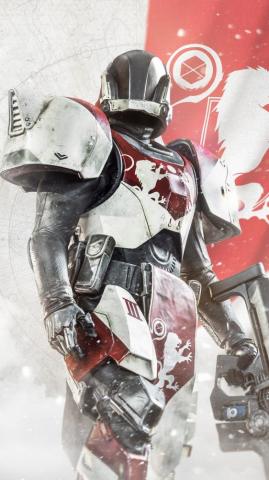 Video Game Destiny
