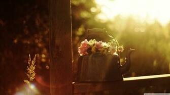 Collection Great Pictures Pure High Definition HD You Can