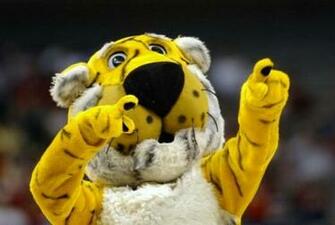 Missouri Tigers Athletics Mizzou College Sports Tigerboard