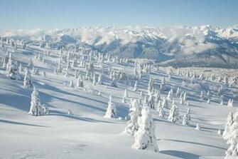 Snow Landscape