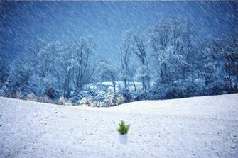 Winter Time Storm Wallpaper By Theoriginalfullmetal