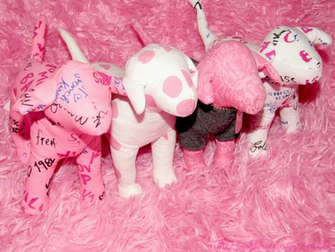 Pink Dog Victorias Secret Photography