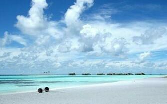 Nature Widescreen Wallpaper Desktop Full HD