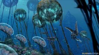Coral Reef By Jengineerr