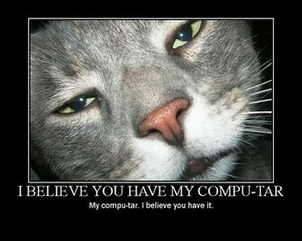 Who Da Thunk It Lol Cat Pictures Caturday Cats