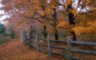 Fence Autumn Nature Scenery Wallpaper For Desktop Background