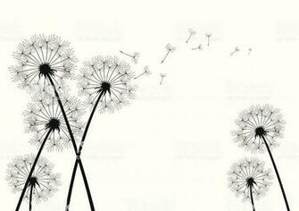 Black Vector Dandelions On White Background Art