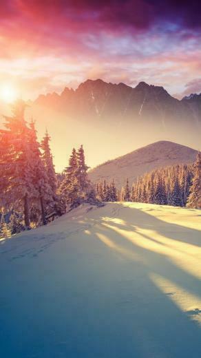 Winter Ally S Cool And Cute Background In Nature iPhone