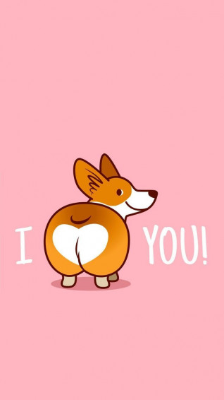Corgi Love Click Here To Cute Wallpaper