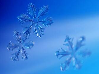 Snow Wallpaper Winter Desktop