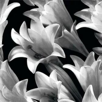 Black White Eternal Identity Harlequin Wallpaper