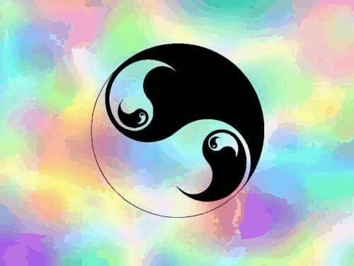 Ying Yang On