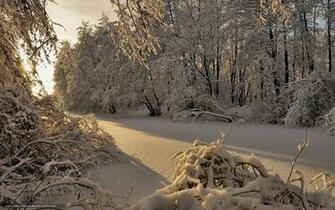 Wallpaper Winter Snow Frozen Pond Landscape Desktop
