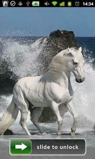 Horses Lock Screen Wallpaper Screenshots
