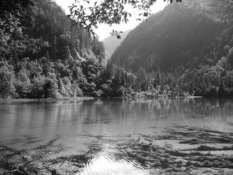 Black And White Nature Photography Wallpaper