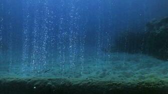 Ocean Floor Wallpaper On