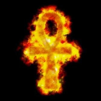 Flaming Cat HD Walls Find Wallpaper