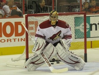 Phoenix Coyotes Hockey Nhl Wallpaper Background