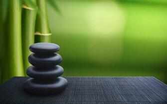 Still Life HD Wallpaper Background