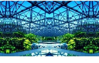 Wallpaper Bright Design Steel Vegetation Greenhouse Image For