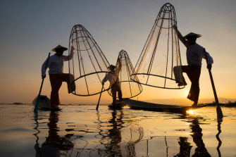 Fishermans Wharf Wallpaper